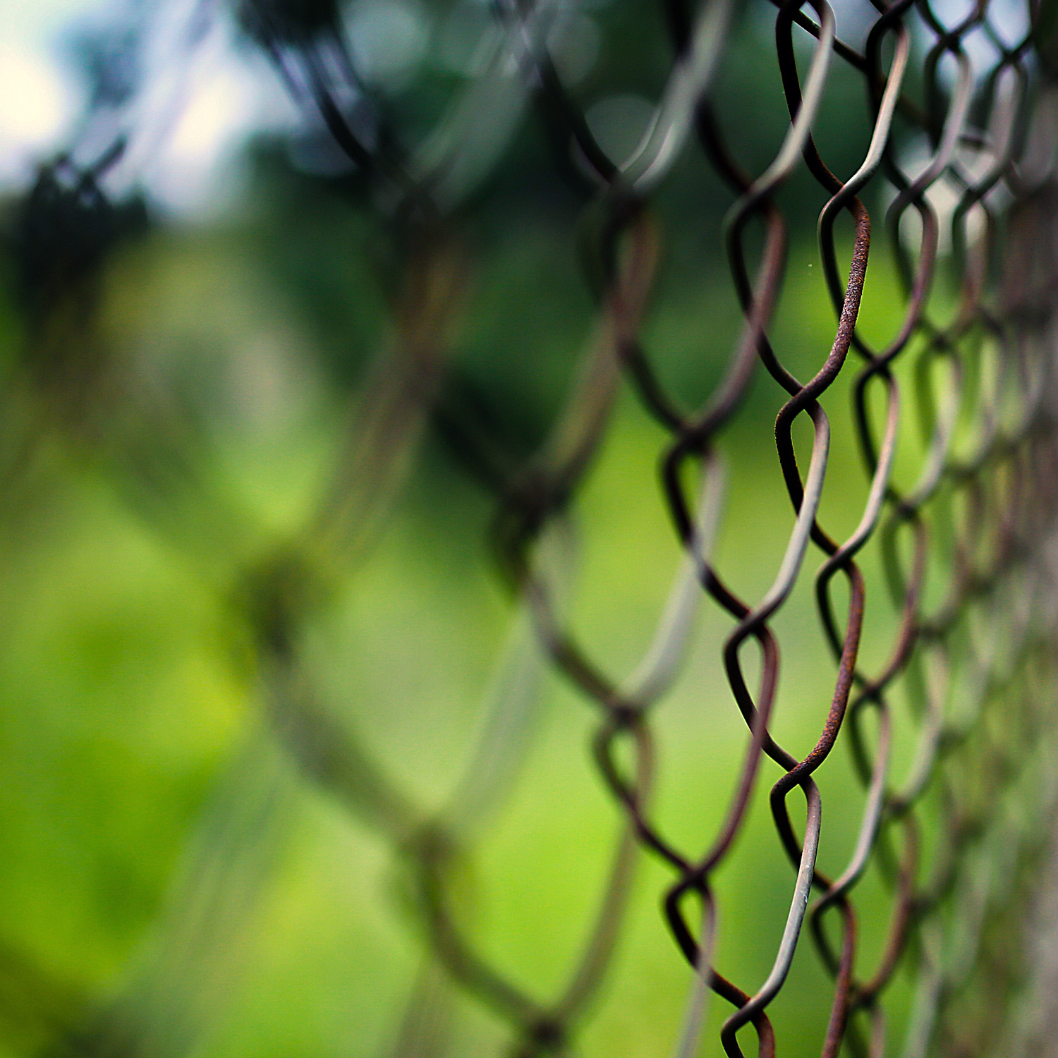 Removable Mesh Pet Fencing Solutions Pet Fence Installation & Custom Dog Runs in Colorado Awesome Image